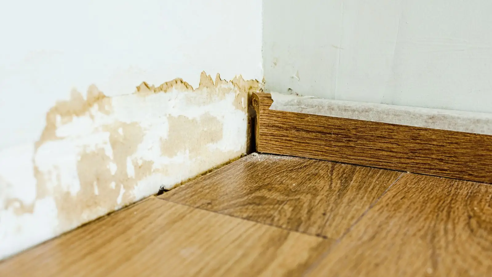 Water stain line along a wall above the baseboard
